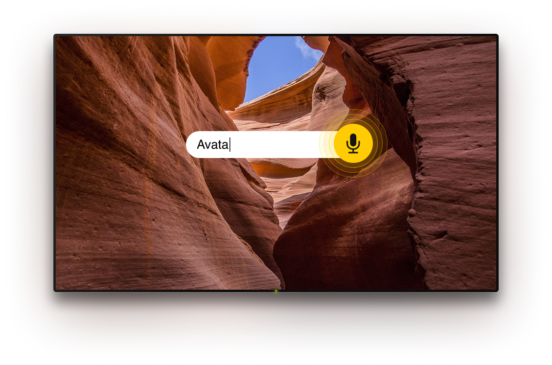 TV with microphone option