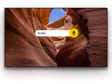 TV with microphone option